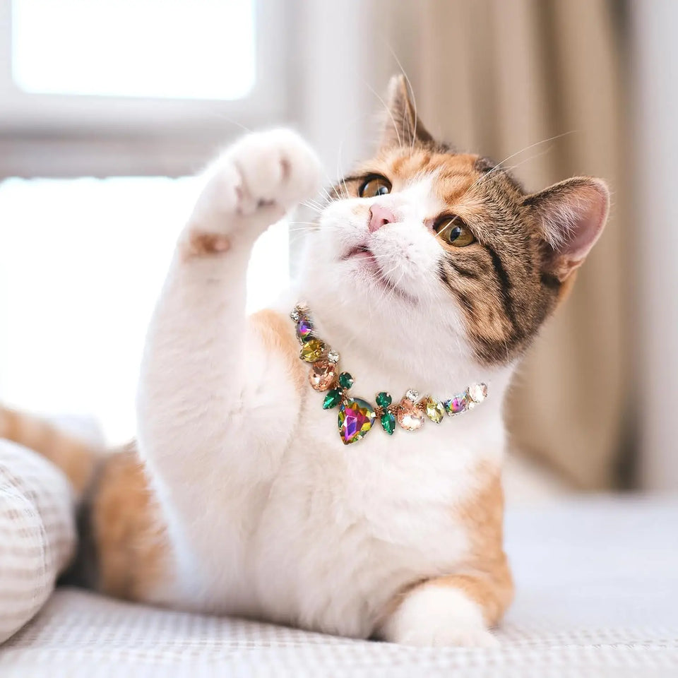 Luxury Gemstone Dog Cat Collar Gold Chain Necklace Fashion Pet Jewelry Accessories Puppy Diamond Collar for Small Medium Dogs