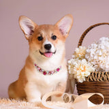 Luxury Gemstone Dog Cat Collar Gold Chain Necklace Fashion Pet Jewelry Accessories Puppy Diamond Collar for Small Medium Dogs